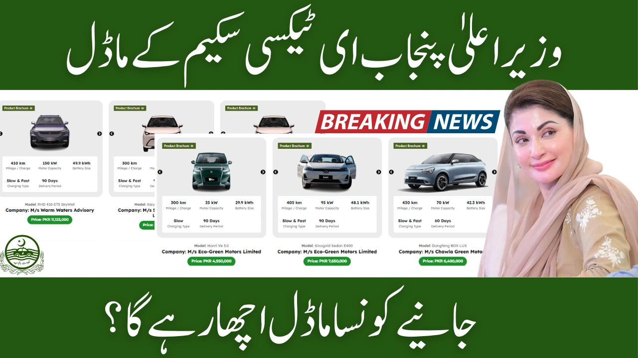 CM Punjab E-Taxi Scheme 2025 Models and Average Performance