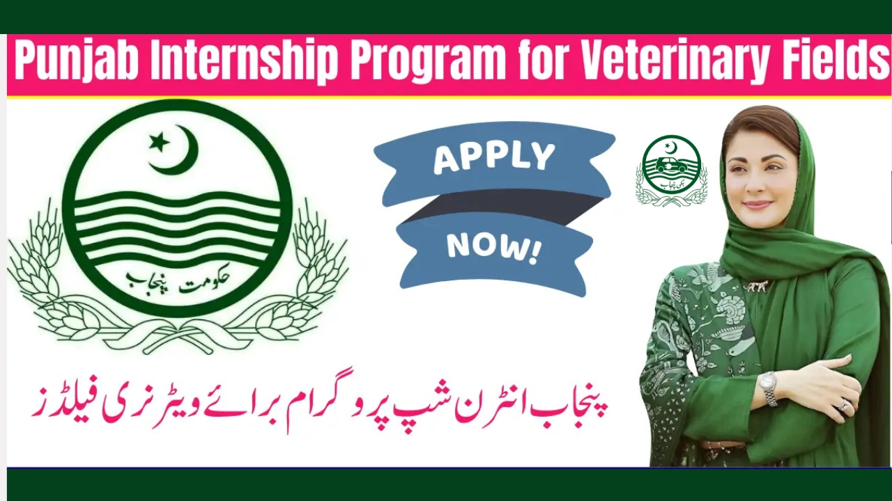 CM Punjab Veterinary Internship Program 2025 – Earn Up to Rs. 60,000 Monthly