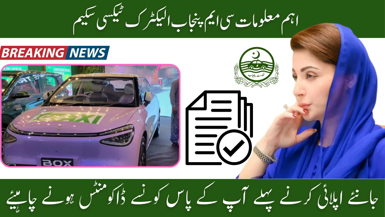 Complete List of Documents Required for Punjab E-Taxi Scheme 2025 Registration
