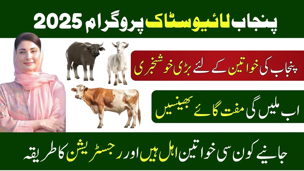 CM Punjab Livestock Program 2025 Empowering Widowed Women Through Financial Independence