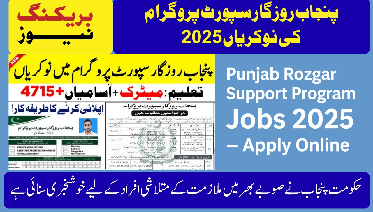 Great Opportunity! Punjab Rozgar Support Program Jobs 2025 – Apply Online for 4715 New Vacancies
